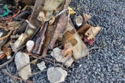 world clean up day 2024_4